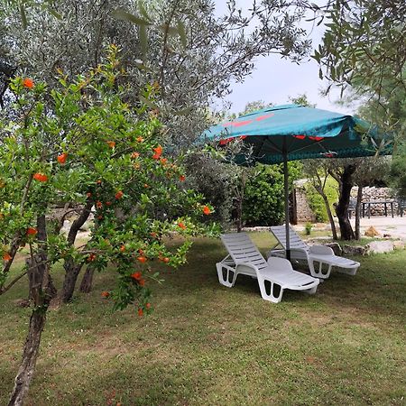 Marti'S House In The Olive Grove Διαμέρισμα Fažana Εξωτερικό φωτογραφία