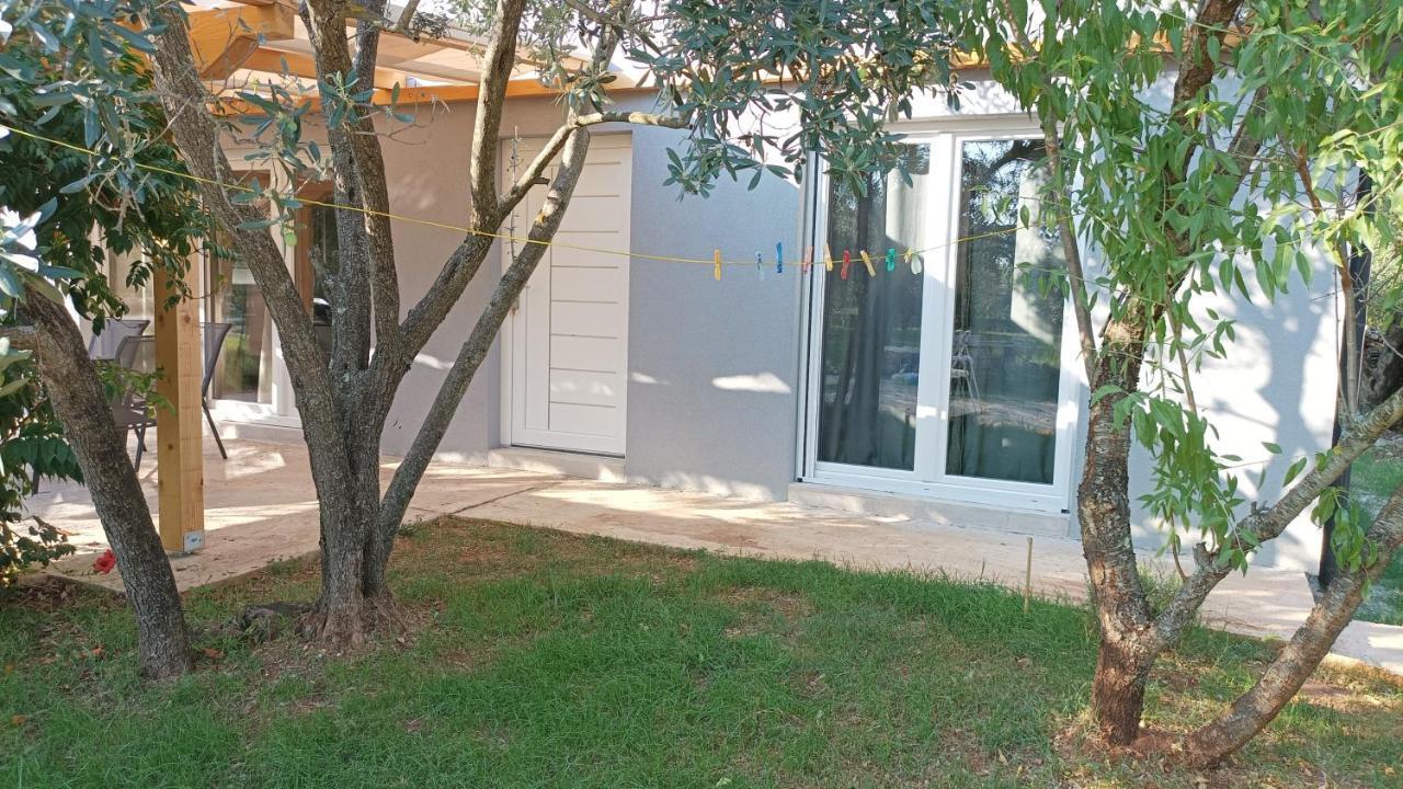 Marti'S House In The Olive Grove Διαμέρισμα Fažana Εξωτερικό φωτογραφία