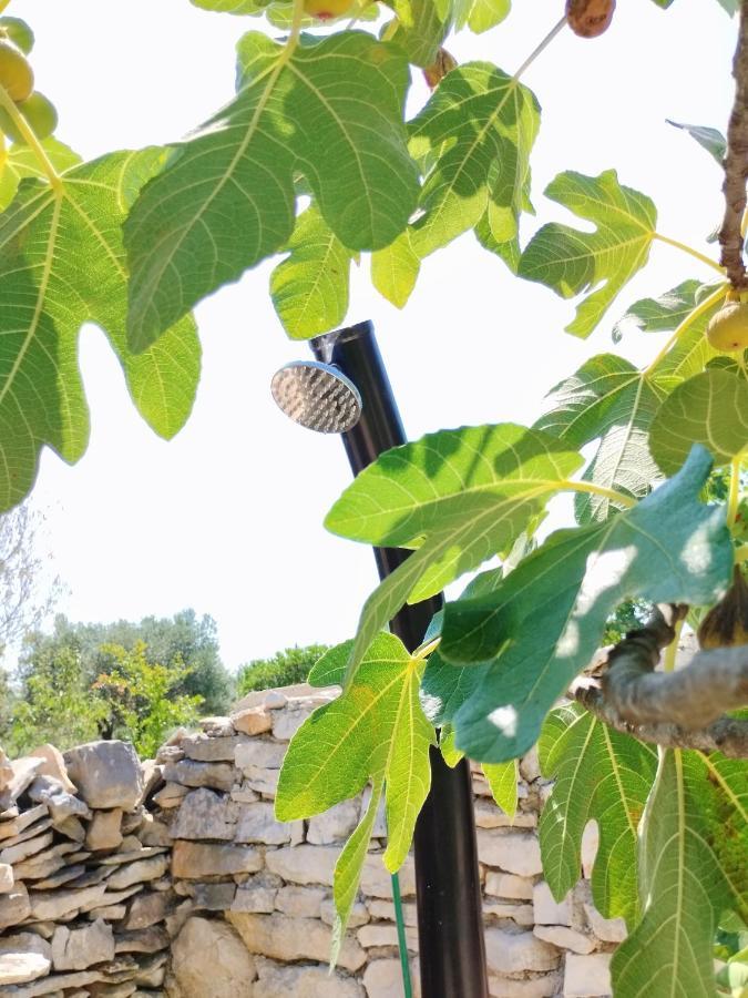 Marti'S House In The Olive Grove Διαμέρισμα Fažana Εξωτερικό φωτογραφία