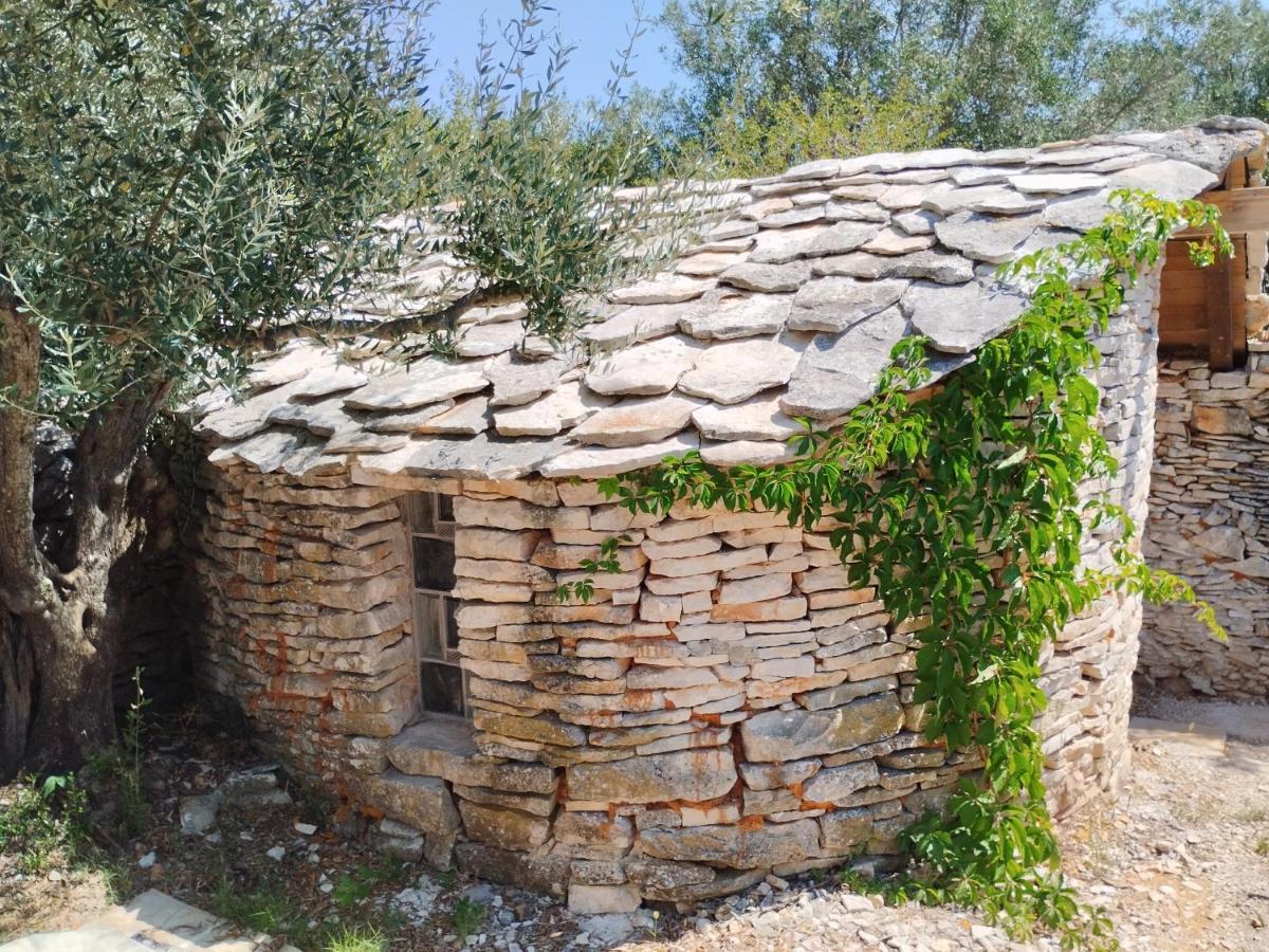 Marti'S House In The Olive Grove Διαμέρισμα Fažana Εξωτερικό φωτογραφία