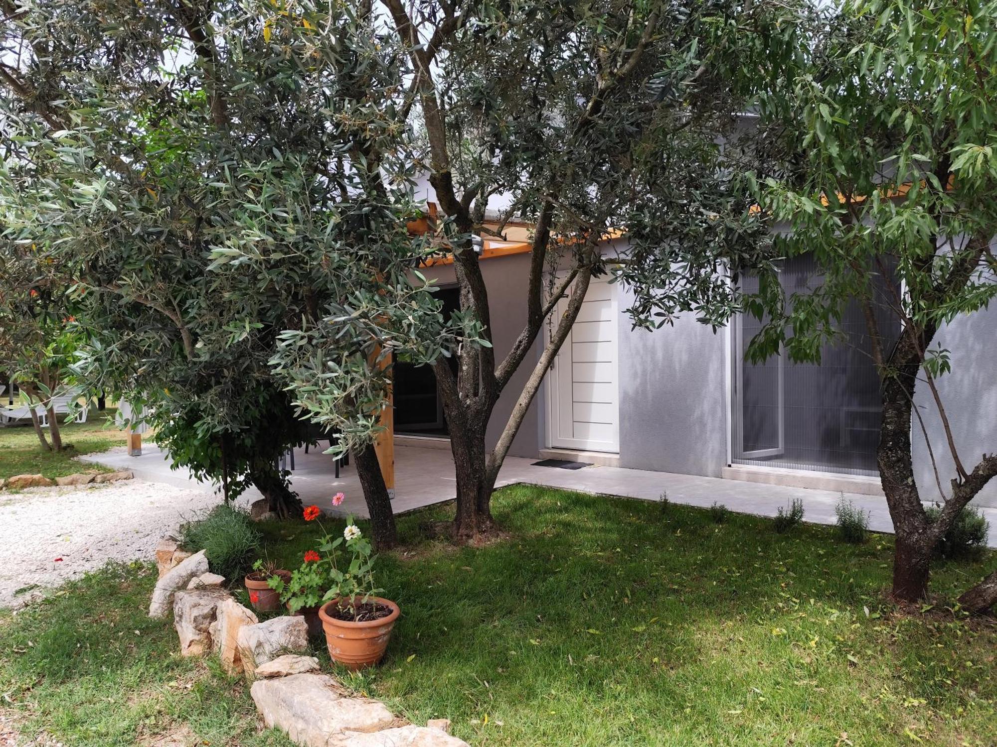Marti'S House In The Olive Grove Διαμέρισμα Fažana Εξωτερικό φωτογραφία