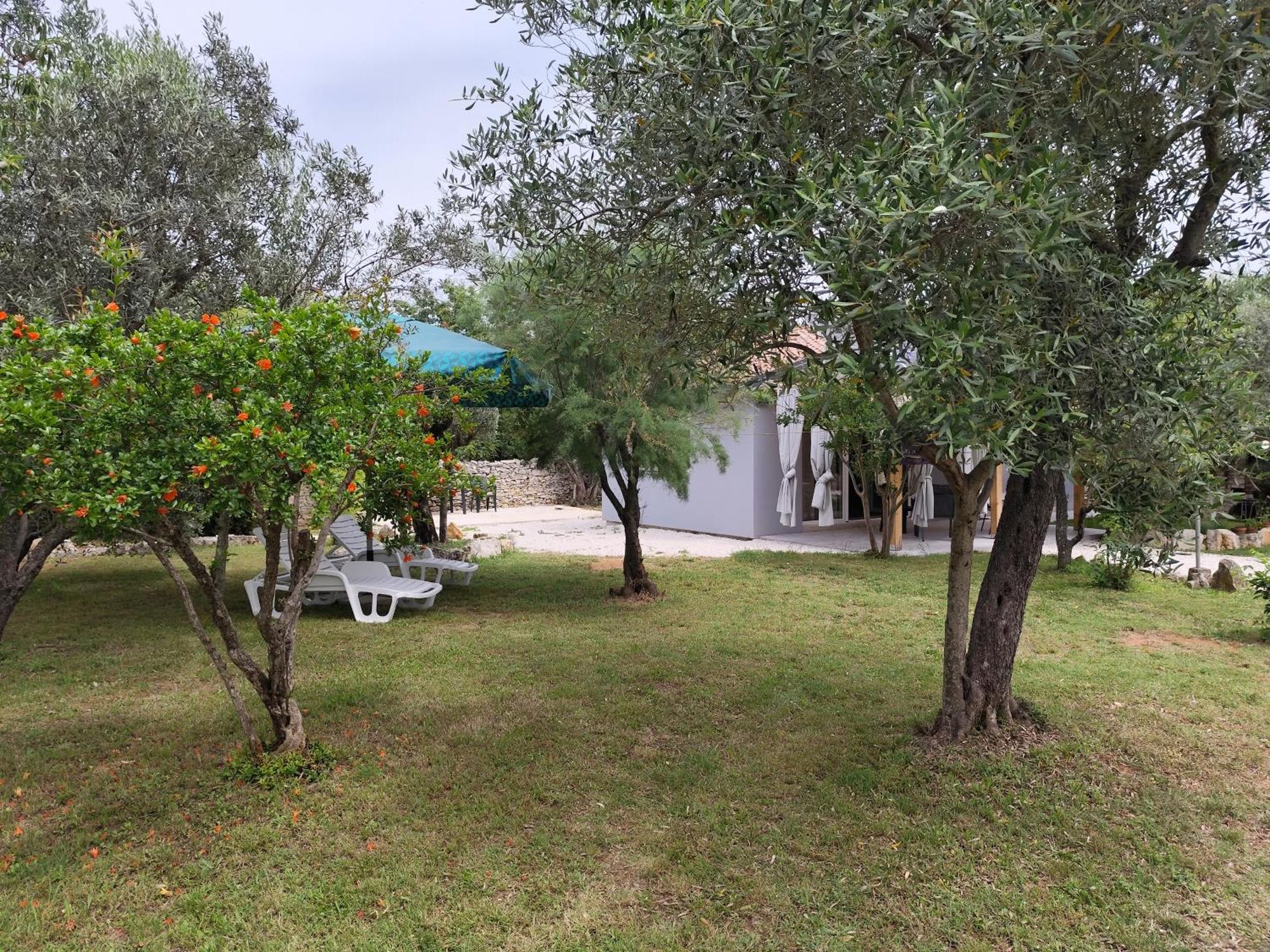 Marti'S House In The Olive Grove Διαμέρισμα Fažana Εξωτερικό φωτογραφία